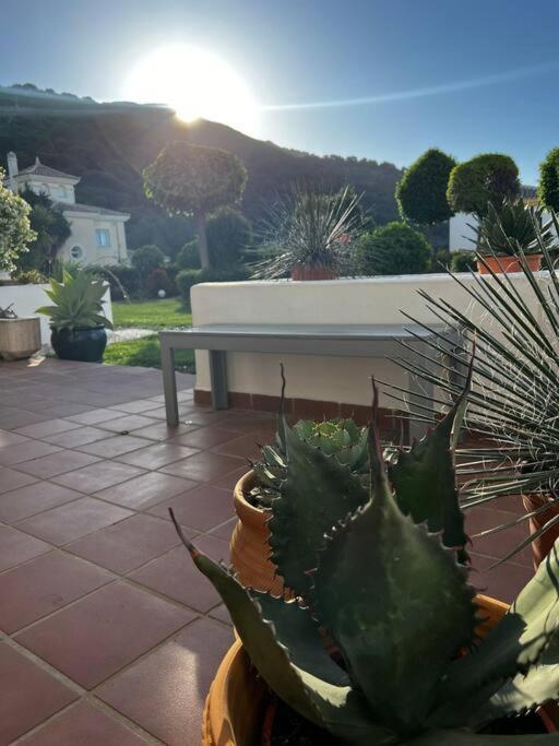 Ruim Appartement, Zonnig Terras, Alhaurin Golf! Alhaurín el Grande Buitenkant foto